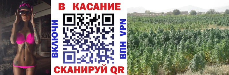 Купить наркотик Боровичи ГАШИШ Кокаин МЕФ mega маркетплейс Марихуана