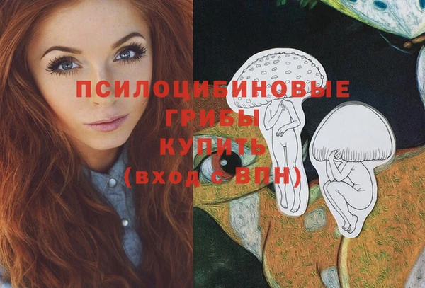 тгк Алзамай