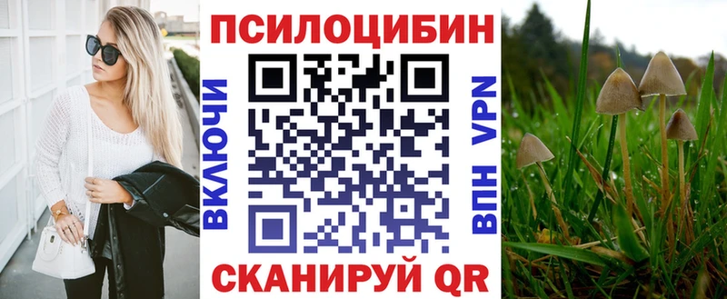 закладки  Боровичи  Псилоцибиновые грибы Cubensis 